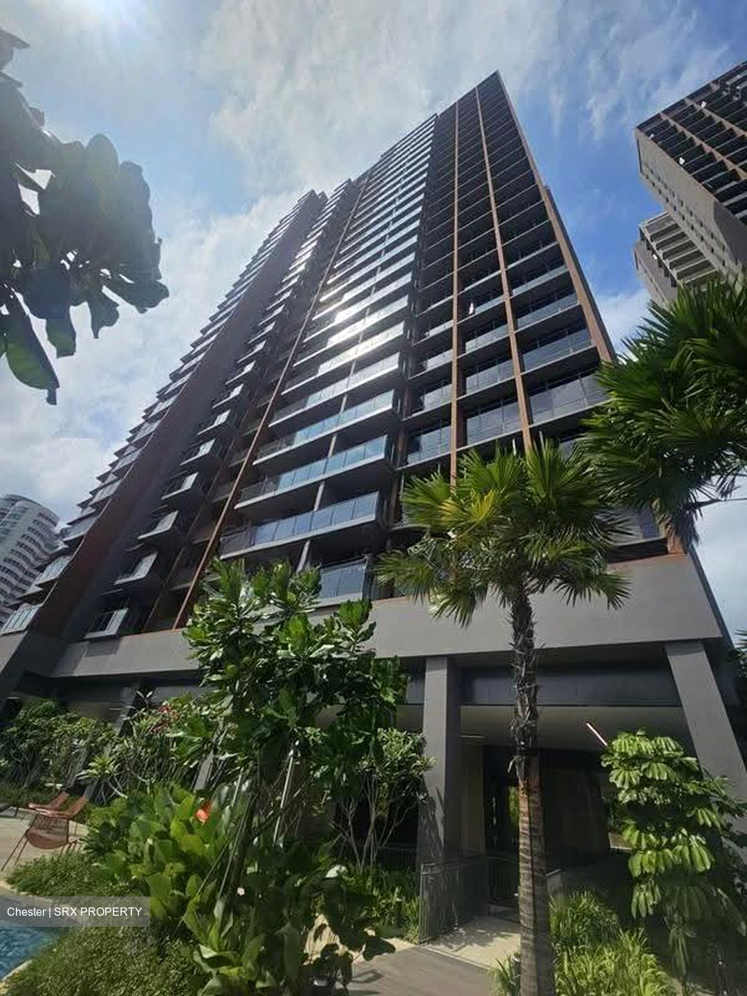 Amo Residence (D20), Apartment #629361151